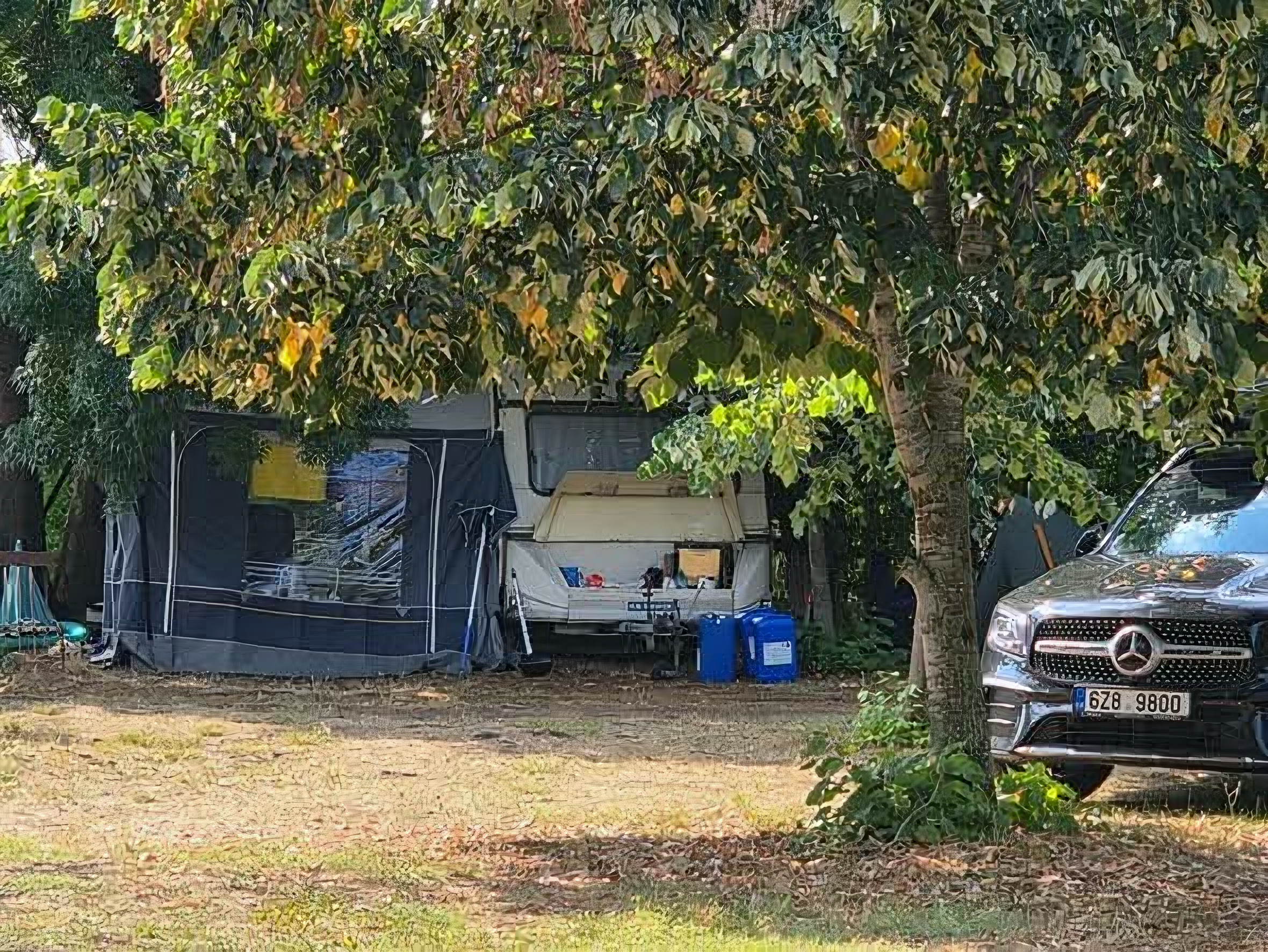 Общ изглед на местата за палатки и каравани сред дървета